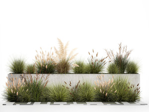 Bushes For Landscaping With Pampas Grass 1169 Modelo 3D