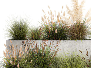 Bushes For Landscaping With Pampas Grass 1169 Modelo 3D