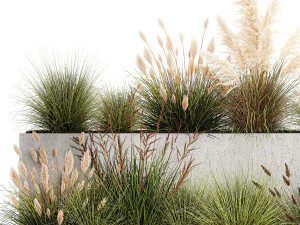 Bushes For Landscaping With Pampas Grass 1169 3D Model