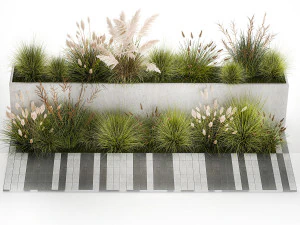 Bushes For Landscaping With Pampas Grass 1169 3D Model