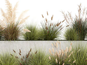 Bushes For Landscaping With Pampas Grass 1169 3D Model