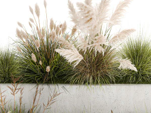 Bushes For Landscaping With Pampas Grass 1169 3D Model