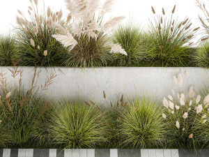 Bushes For Landscaping With Pampas Grass 1169 3D Model