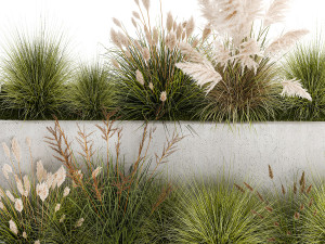 Bushes For Landscaping With Pampas Grass 1169 Modelo 3D
