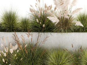 Bushes For Landscaping With Pampas Grass 1169 3D Model