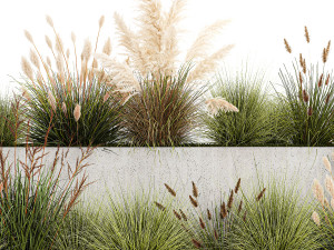 Bushes For Landscaping With Pampas Grass 1169 Modelo 3D