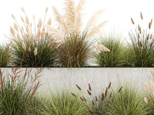 Bushes For Landscaping With Pampas Grass 1169 3D Model
