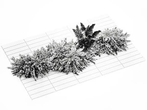 Juniper bushes and pampas grass for landscaping 1170 3D Model