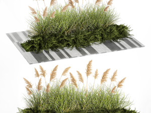 Juniper bushes and pampas grass for landscaping 1171 3D Model