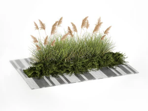 Juniper bushes and pampas grass for landscaping 1171 3D Model