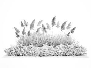 Juniper bushes and pampas grass for landscaping 1171 Modello 3D