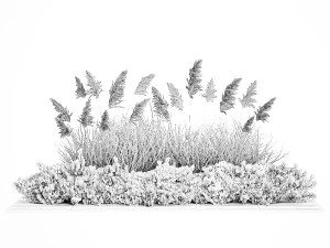 Juniper bushes and pampas grass for landscaping 1171 3D Model
