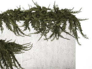 Cypress And Juniper For The Urban Environment 1172 3D Model