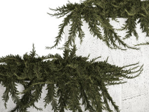 Cypress And Juniper For The Urban Environment 1172 3D Model