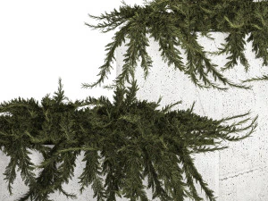 Cypress And Juniper For The Urban Environment 1172 3D Model