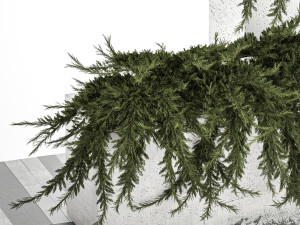 Cypress And Juniper For The Urban Environment 1172 3D Model