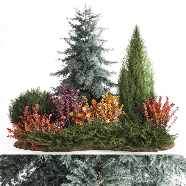 Garden of spruce thuja juniper and barberry 1173 Modèle 3D .c4d .max .obj .3ds .fbx .stl .blend 