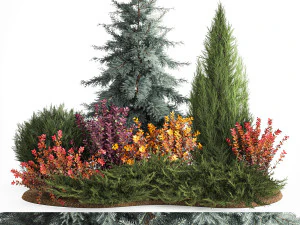 Giardino di abete rosso, ginepro e crespino 1173 Modello 3D