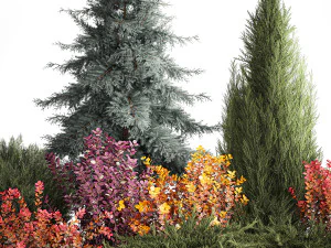 Giardino di abete rosso, ginepro e crespino 1173 Modello 3D
