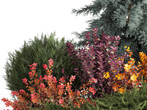 Garden of spruce thuja juniper and barberry 1173 Modèle 3D