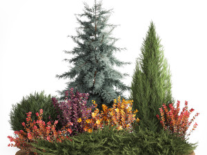 Garden of spruce thuja juniper and barberry 1173 Modèle 3D