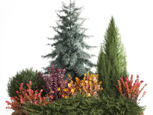 Giardino di abete rosso, ginepro e crespino 1173 Modello 3D
