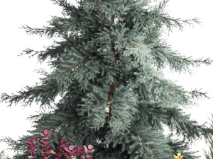 Garden of spruce thuja juniper and barberry 1173 Modèle 3D