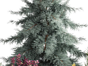 Giardino di abete rosso, ginepro e crespino 1173 Modello 3D