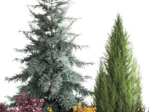 Garden of spruce thuja juniper and barberry 1173 Modèle 3D