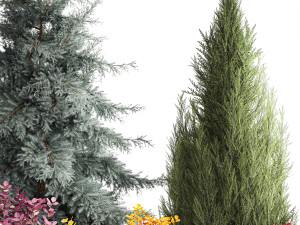 Garden of spruce thuja juniper and barberry 1173 Modèle 3D