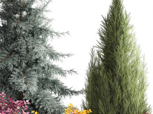 Giardino di abete rosso, ginepro e crespino 1173 Modello 3D