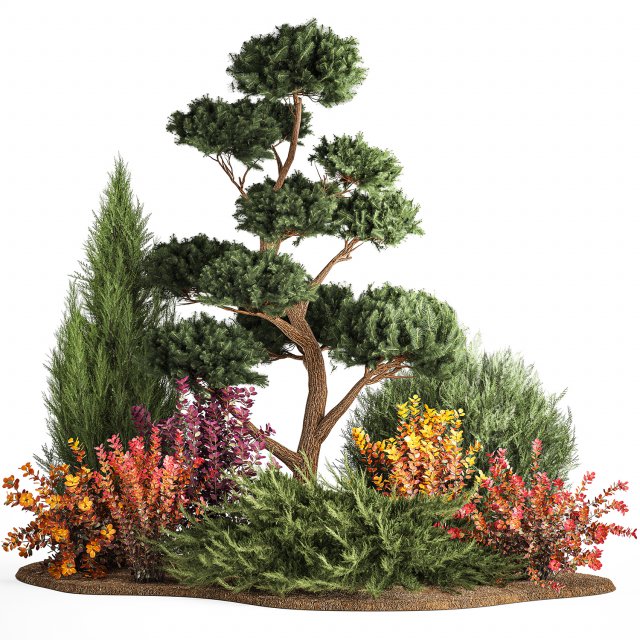 Garden of nivaki thuja juniper and barberry 1174 3D Модель .c4d .max .obj .3ds .fbx .stl .blend 