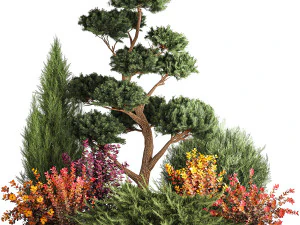 Jardin de gen&eacute;vrier nivaki thuya et d'&eacute;pine-vinette 1174 Modèle 3D