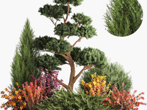 Garden of nivaki thuja juniper and barberry 1174 3D Модель