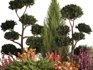 Garden Of Nivaki Thuja Juniper And Barberry 1175 3D Модель
