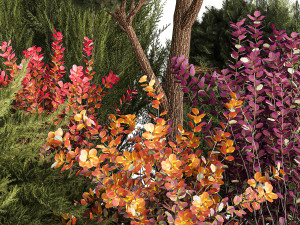 Garden Of Nivaki Thuja Juniper And Barberry 1175 3D Модель