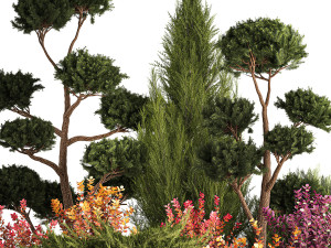 Garden Of Nivaki Thuja Juniper And Barberry 1175 3D Модель