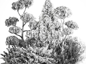Garden Of Nivaki Thuja Juniper And Barberry 1175 3D Модель