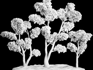 Decorative Trees Pine Topiary Niwaki 1176 Modelo 3D