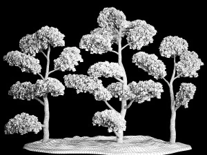 &Aacute;rvores Decorativas Topiaria de Pinheiro Niwaki 1176 Modelo 3D