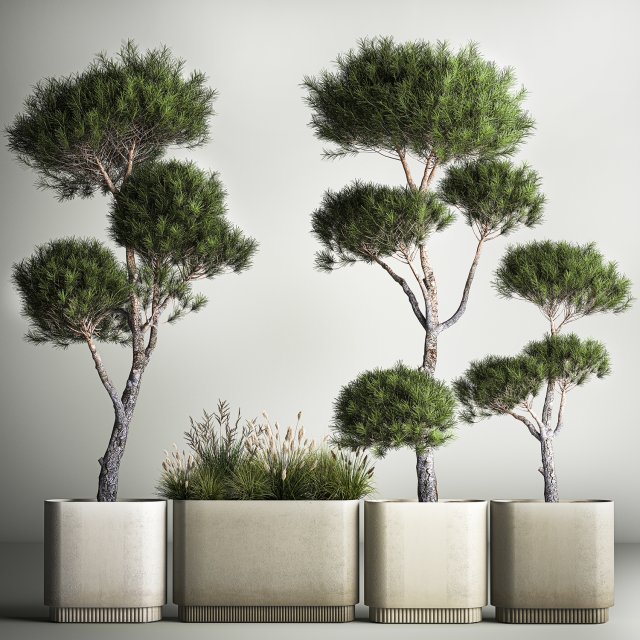 Decorative Pine Topiary In A Garden Flowerpot 1177 Modelo 3D .c4d .max .obj .3ds .fbx .stl .blend 