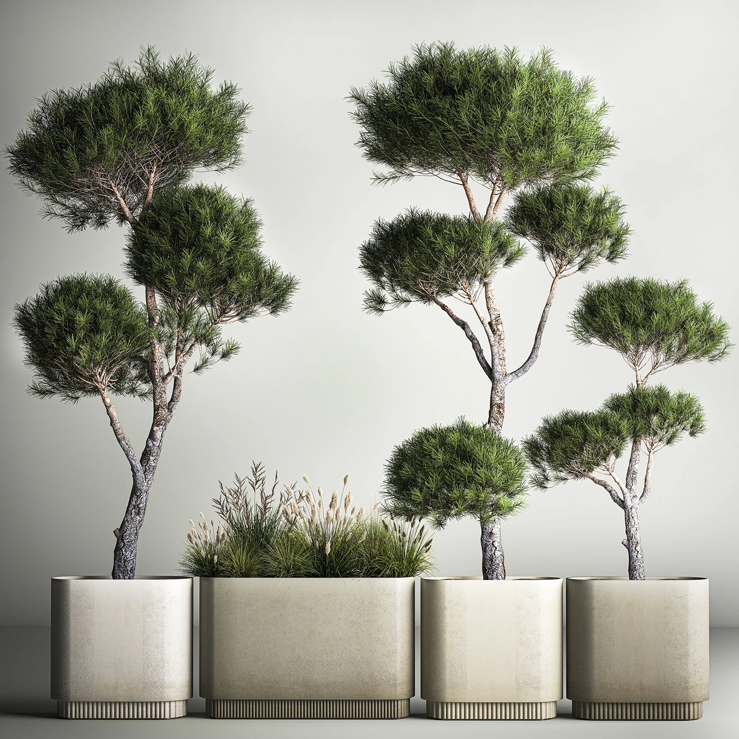 Decorative Pine Topiary In A Garden Flowerpot 1177 3D Model .c4d .max .obj .3ds .fbx .stl .blend