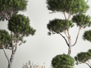Decorative Pine Topiary In A Garden Flowerpot 1177 Modelo 3D
