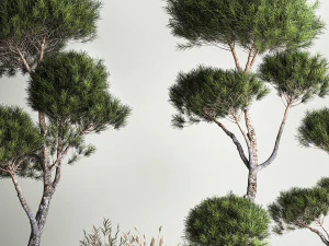 Decorative Pine Topiary In A Garden Flowerpot 1177 3D Model