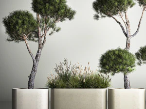 Decorative Pine Topiary In A Garden Flowerpot 1177 3D Model