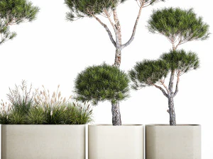 Decorative Pine Topiary In A Garden Flowerpot 1177 3D Model