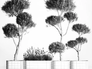Decorative Pine Topiary In A Garden Flowerpot 1177 3D Model