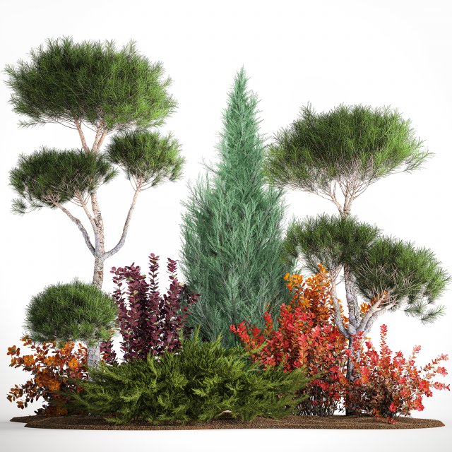 Garden Of Nivaki Thuja Juniper And Barberry 1178 Model 3D .c4d .max .obj .3ds .fbx .stl .blend
