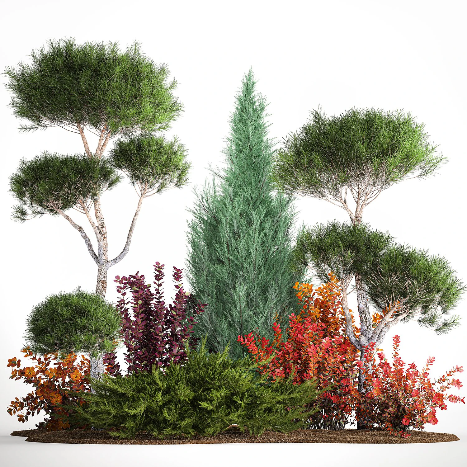 Garden Of Nivaki Thuja Juniper And Barberry 1178 3D Model .c4d .max .obj .3ds .fbx .stl .blend 
