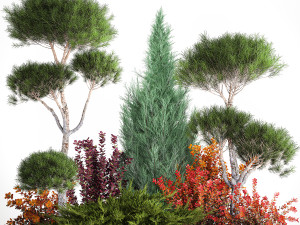 Garden Of Nivaki Thuja Juniper And Barberry 1178 3D Model
